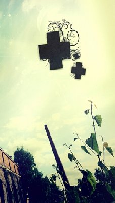 img9.jpg