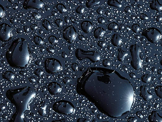 wall_0693.jpg