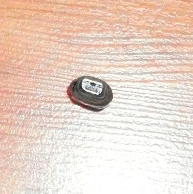 SDC10017r.jpg
